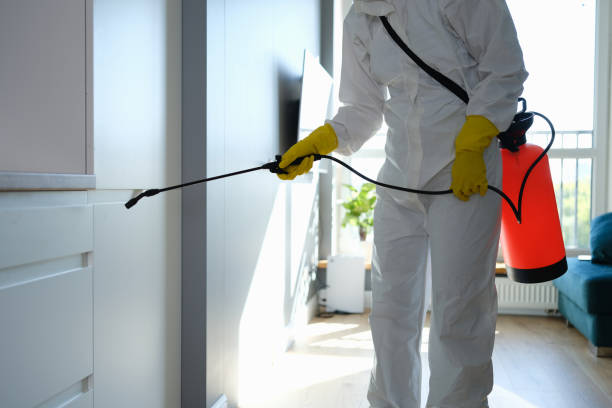 Attic Mold Removal in Kings Grant, NC
