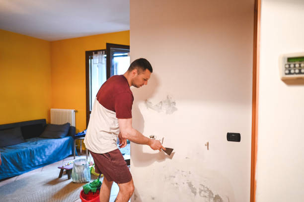 Best Mold Removal Specialists  in Kings Grant, NC