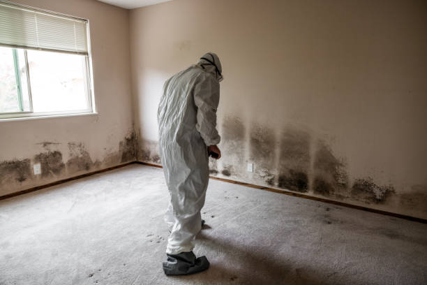 Best Crawl Space Mold Removal  in Kings Grant, NC