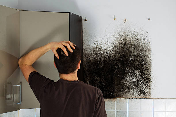 Water Damage Restoration in Kings Grant, NC